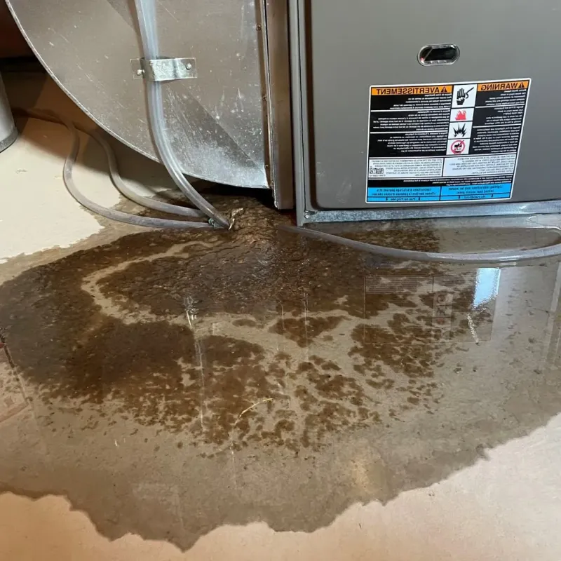 Pipe Burst and Leak Restoration in Farley, KY