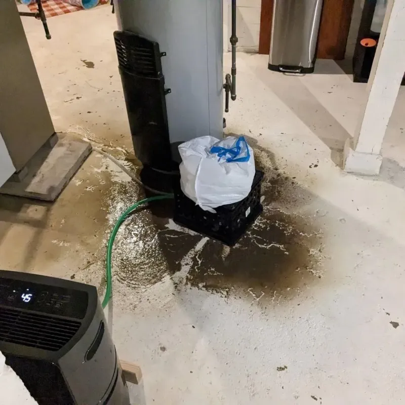 Sewage Backup Cleanup Service in Farley, KY
